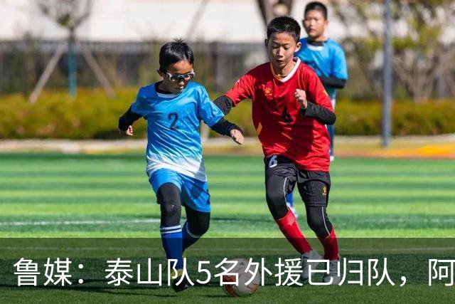 鲁媒：泰山队5名外援已归队，阿尔瓦罗6月份复出难度比较大